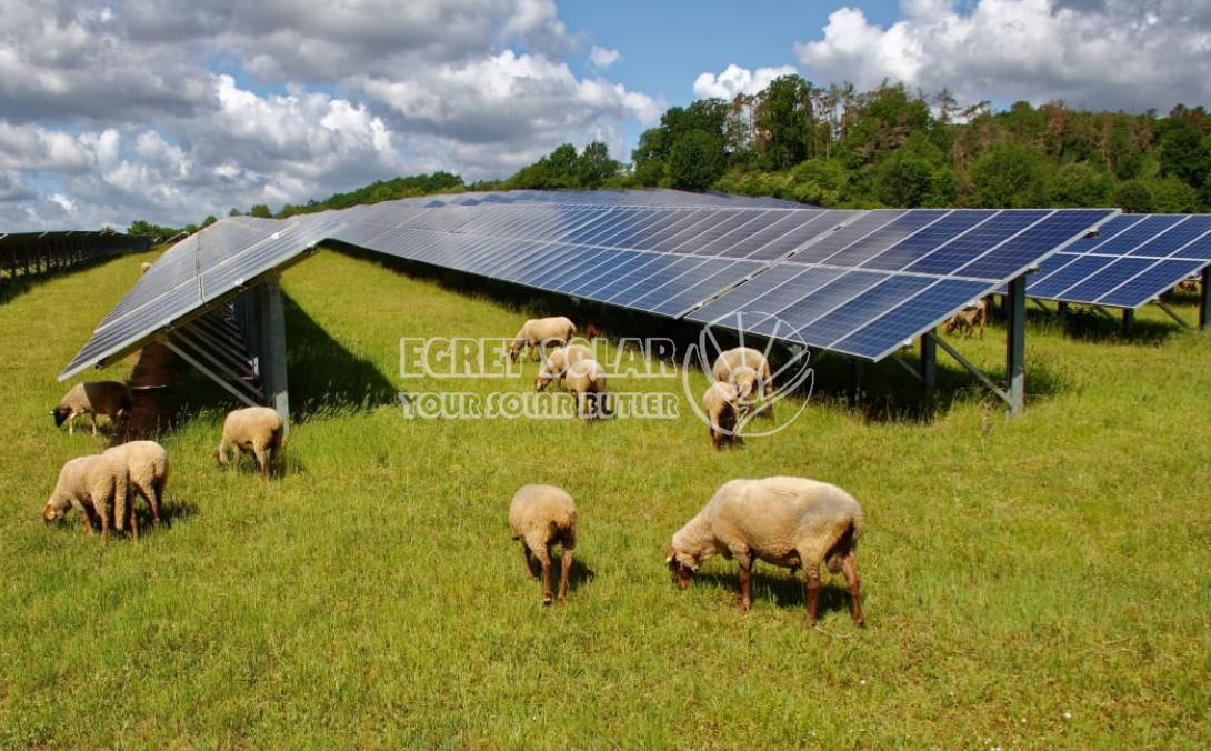 „Egret Solar New Energy Technology“ ir „Smart Concept Energy“ strateginis bendradarbiavimas
